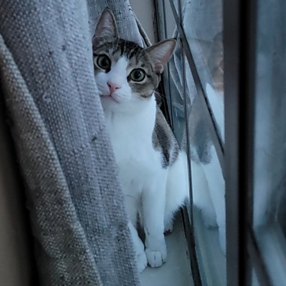 Meet your Posher, Yustine - Picture 1 of 1